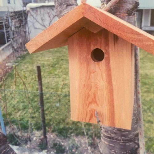 Nistkasten im Garten