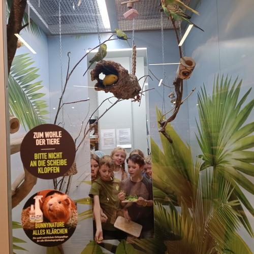 Kinder beobachten die Vögel