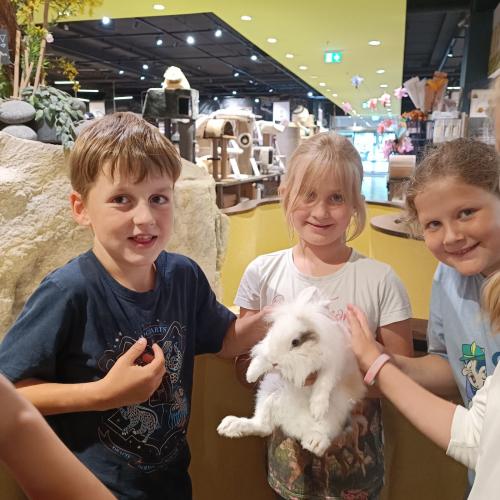 Kinder streicheln Hasen