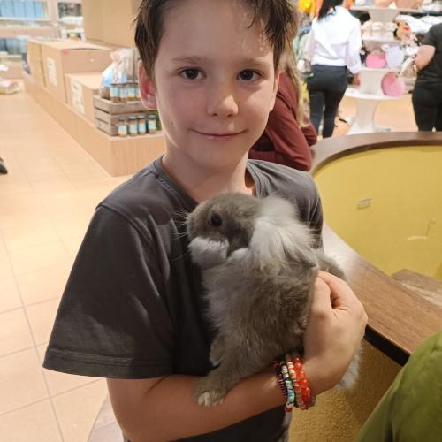 Kind mit Hase