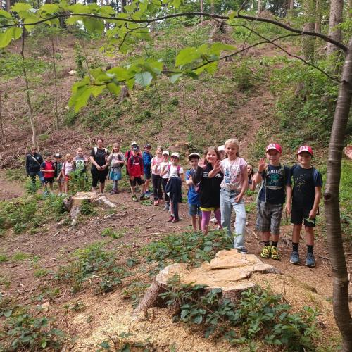 Am Wanderweg