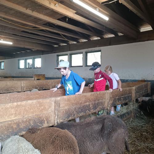 Kinder im Stall