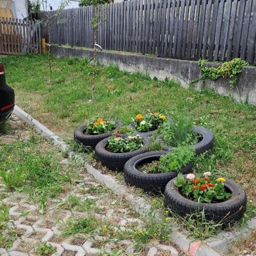 Garten an der Schule