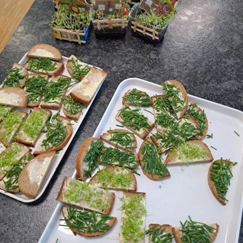 Brote mit Kräutern