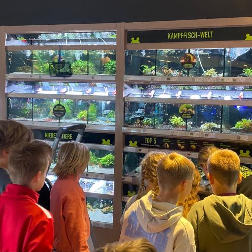 Aquarium2