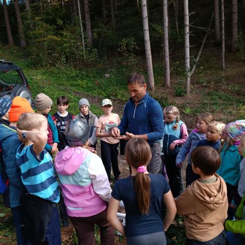 Kinder beim Bäumesetzen 4