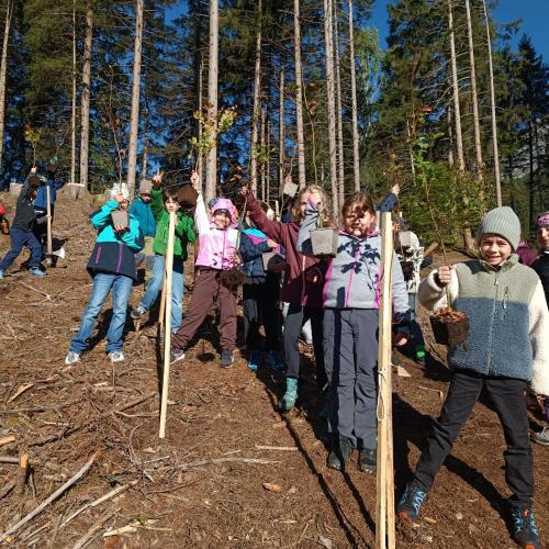 Kinder im Wald beim Bäumesetzen