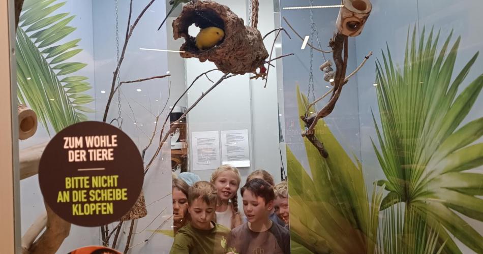 Kinder beobachten die Vögel