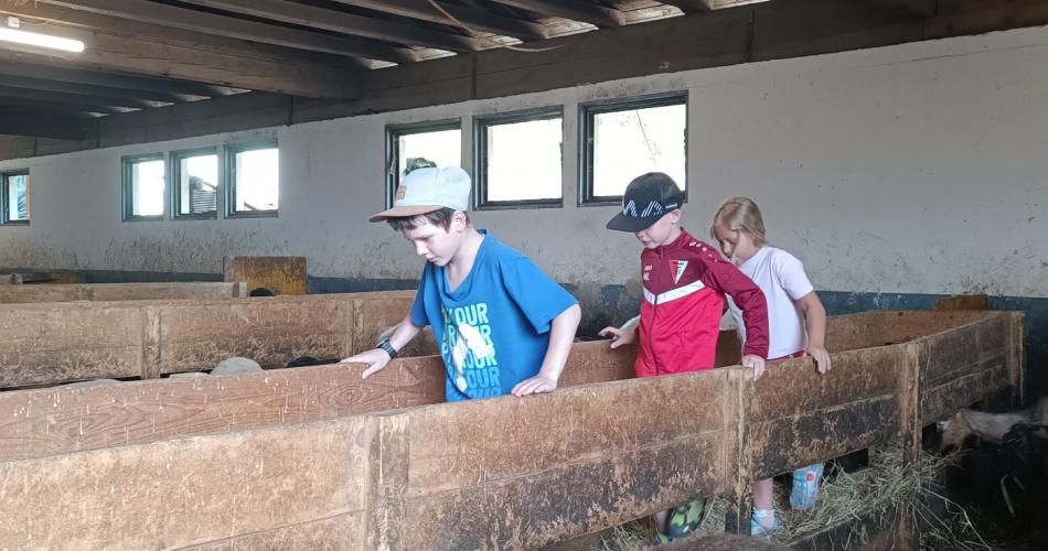 Kinder im Stall
