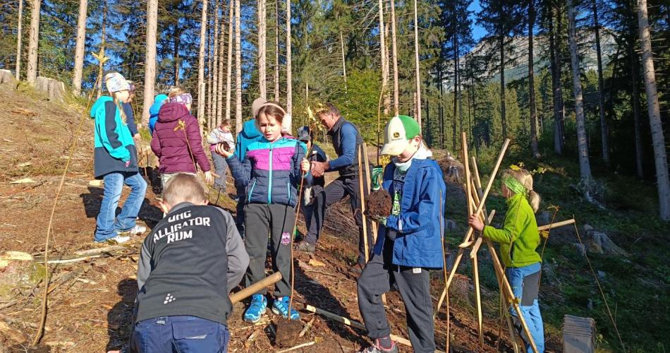 Kinder der 3a pflanzen Bäume ein